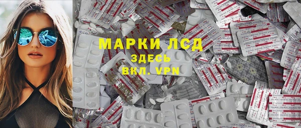 стаф Надым