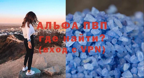 стаф Надым