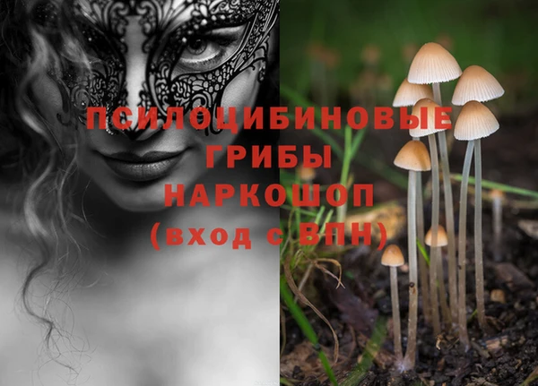 сатива Волоколамск