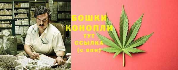 стаф Надым