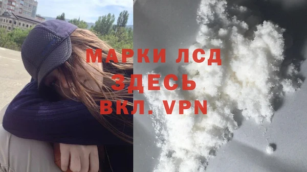 стаф Надым