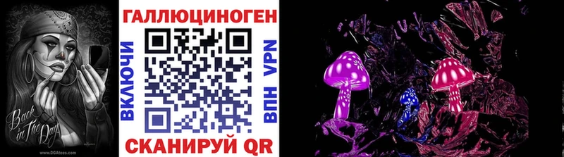 где можно купить наркотик  Андреаполь  kraken ССЫЛКА  Псилоцибиновые грибы Cubensis 